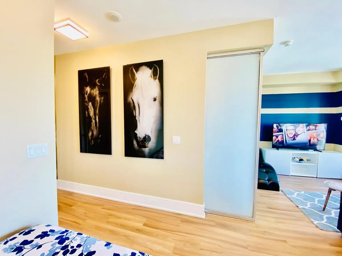 Downtown Toronto Oasis Apartment